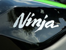 Kawasaki 300 Ninja : La furie verte