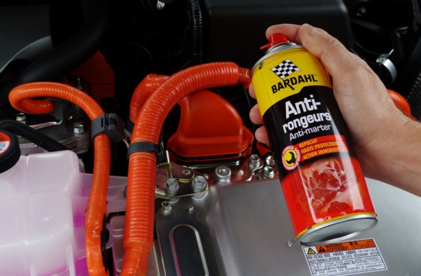 7 Astuces pour protéger une voiture qui dort dehors 7 Astuces pour protéger une voiture qui dort dehors