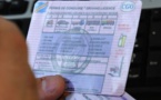 Un réseau de faux permis de conduire portugais démantelé en Loire Atlantique (44)