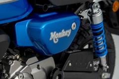 336442_Honda_Monkey_2022