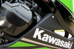 Kawasaki 300 Ninja carénage
