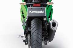 Kawasaki 300 ninja profil arrière