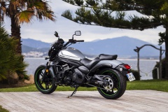 Vulcan650A2 profil 2