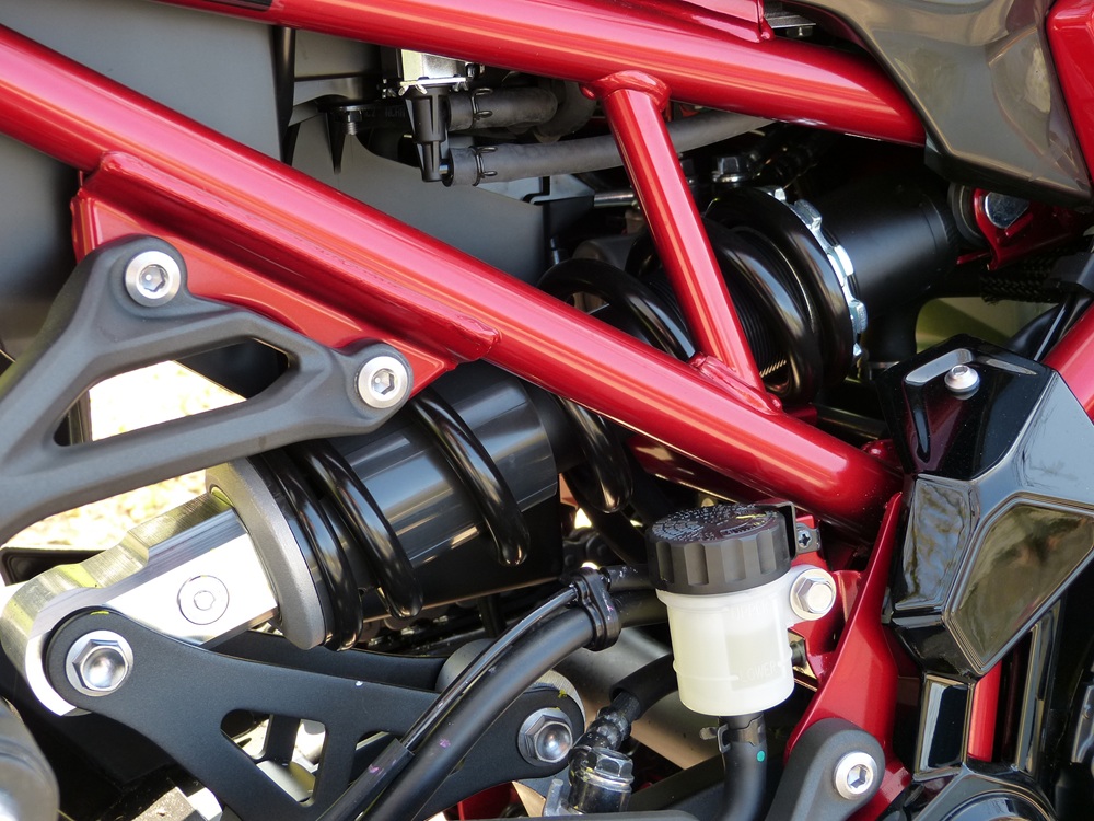 Kawasaki Z900 A2 2025 13