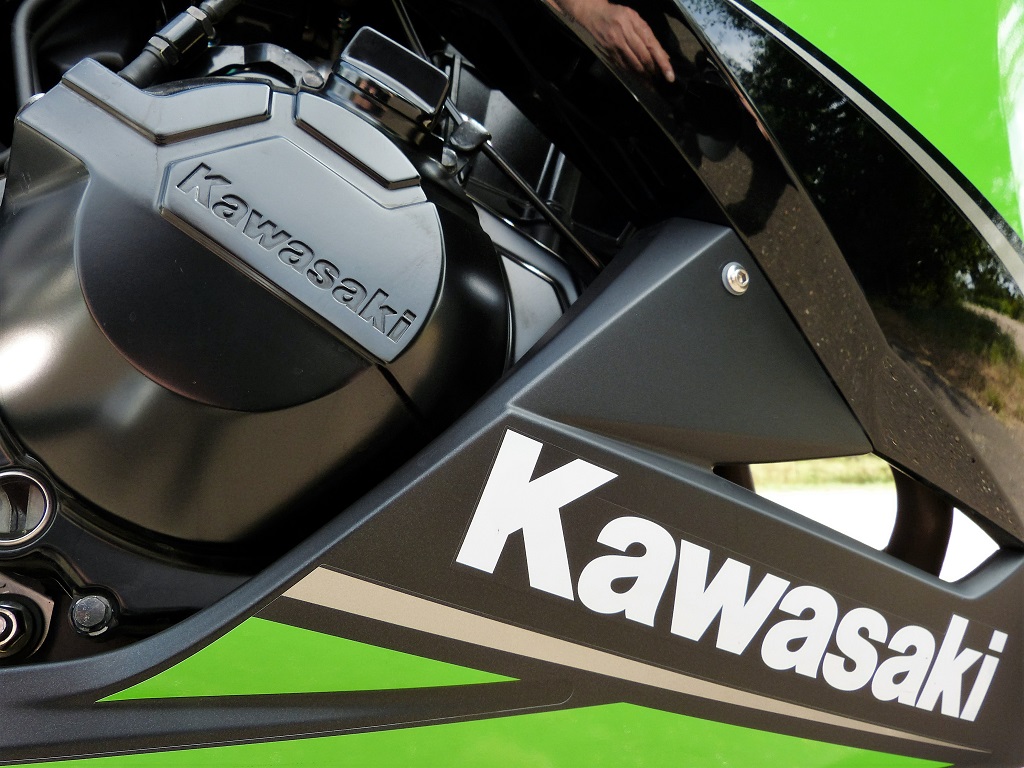 Kawasaki 300 Ninja carénage