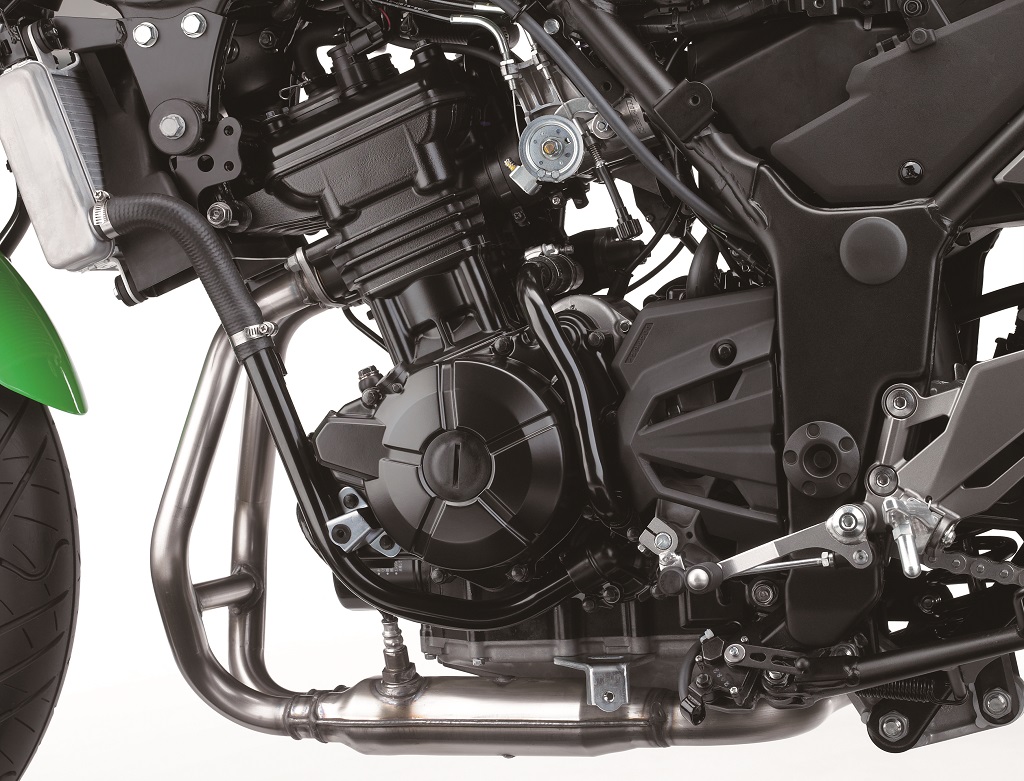 Kawasaki 300 Ninja moteur gauche