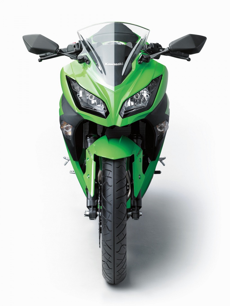 Kawasaki 300 Ninja profil avant