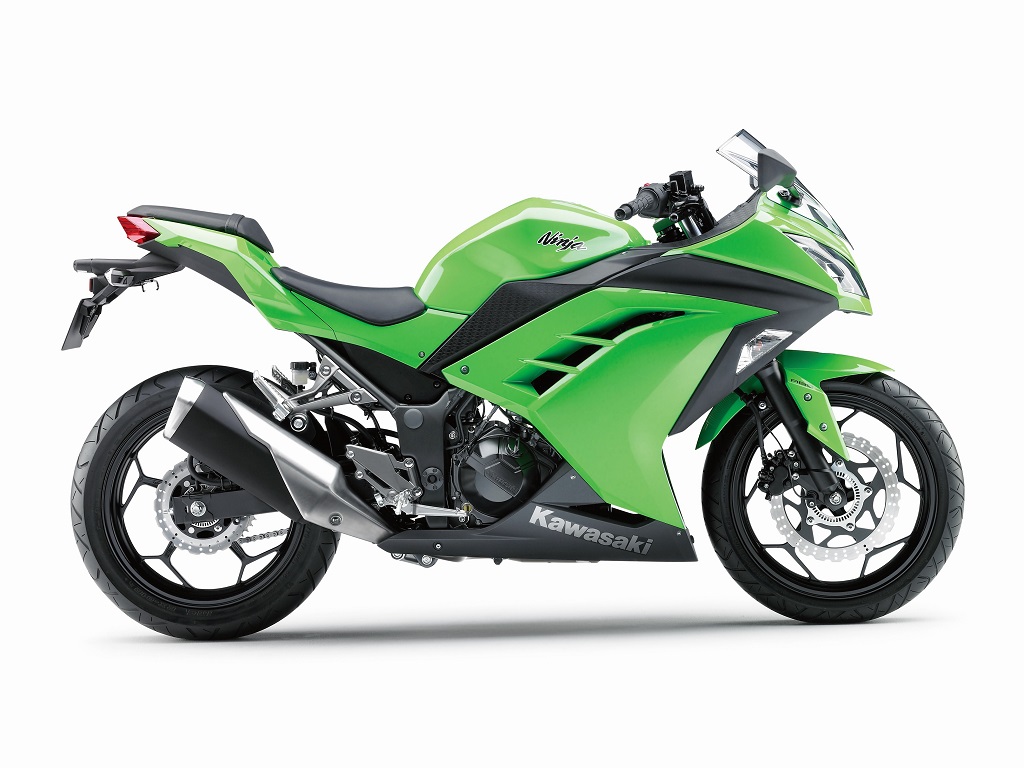 Kawasaki 300 Ninja profil droit